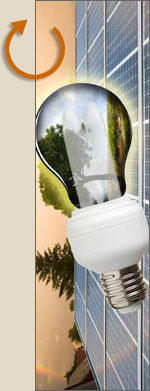 compact fluourescent bulb